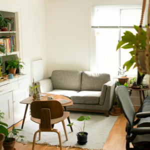 Tenancy Law